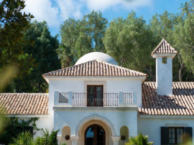 The great escape to the biscuit